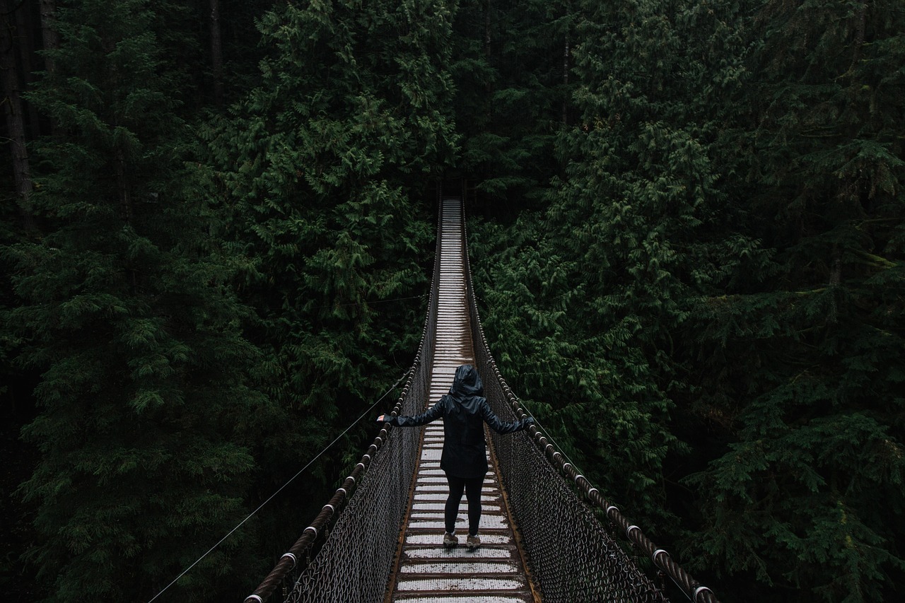 people dark bridge free photo