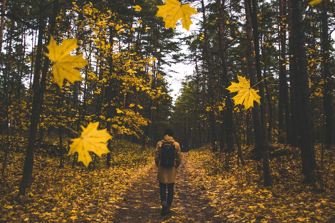 people man walking free photo