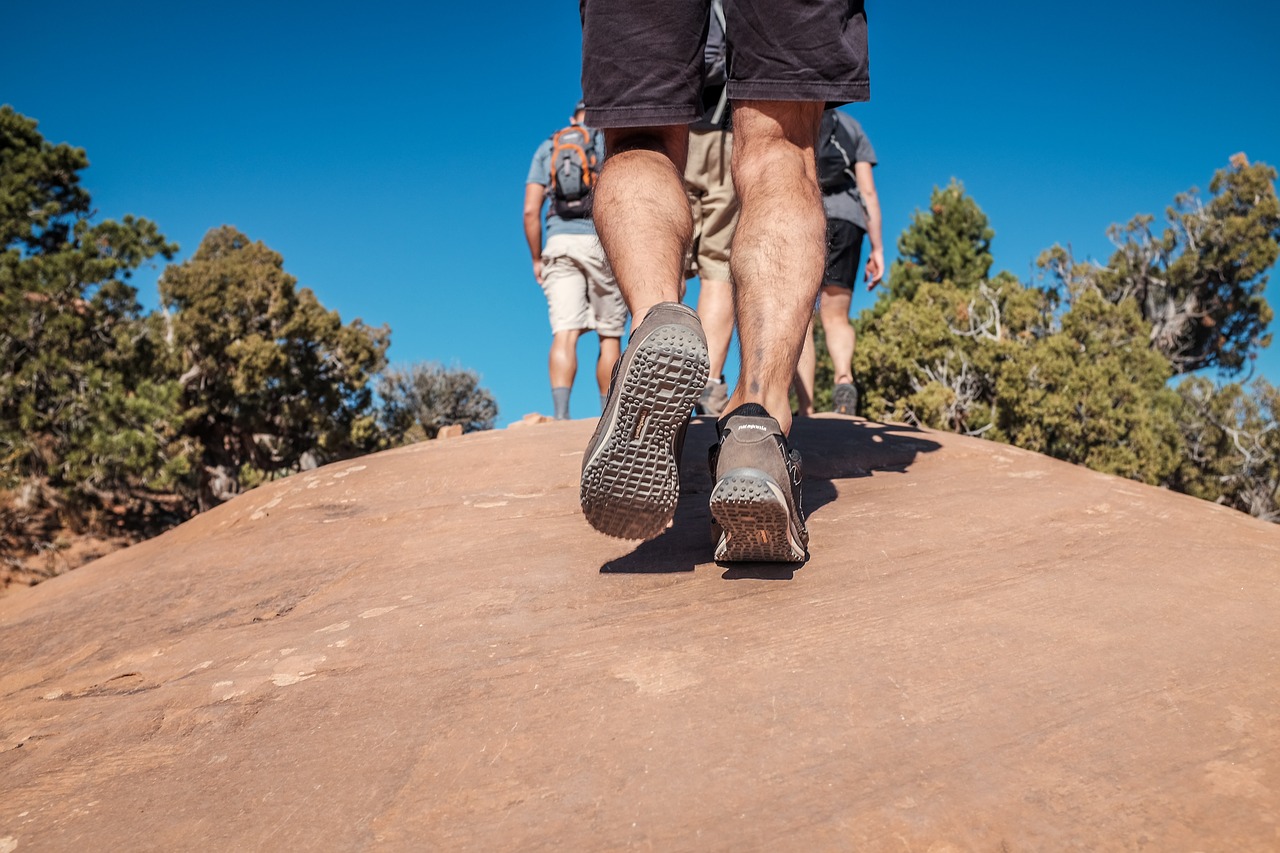 people hiking climbing free photo