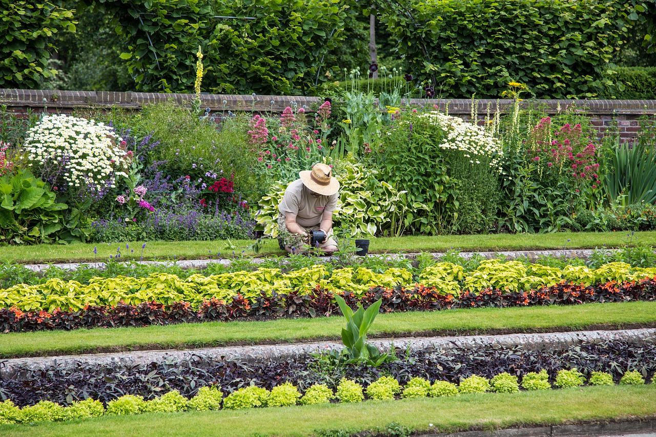 people man gardener free photo