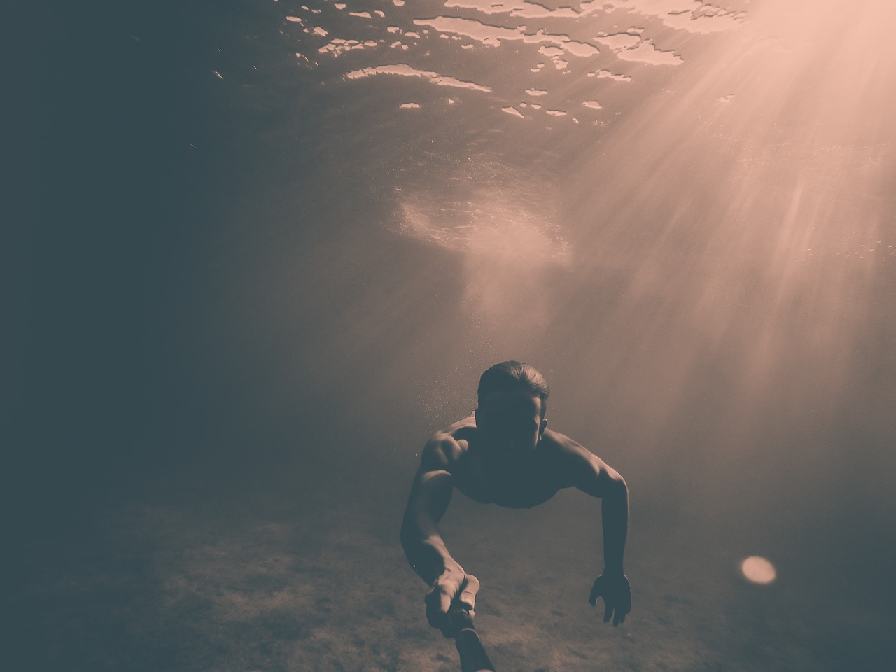 people man swimming free photo