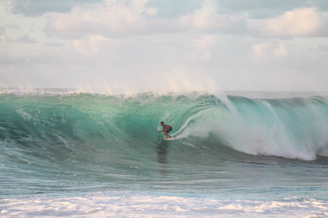 people man surfing free photo