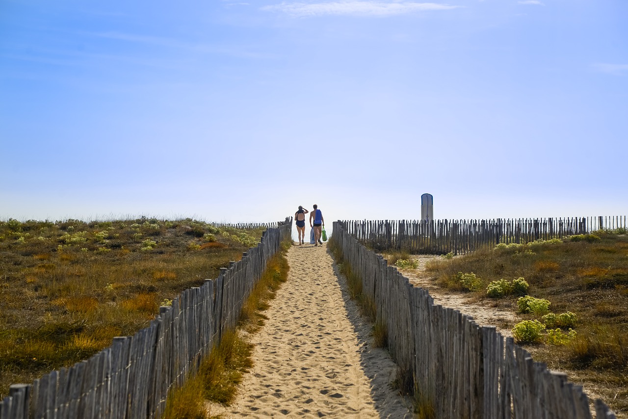 people walking beach free photo