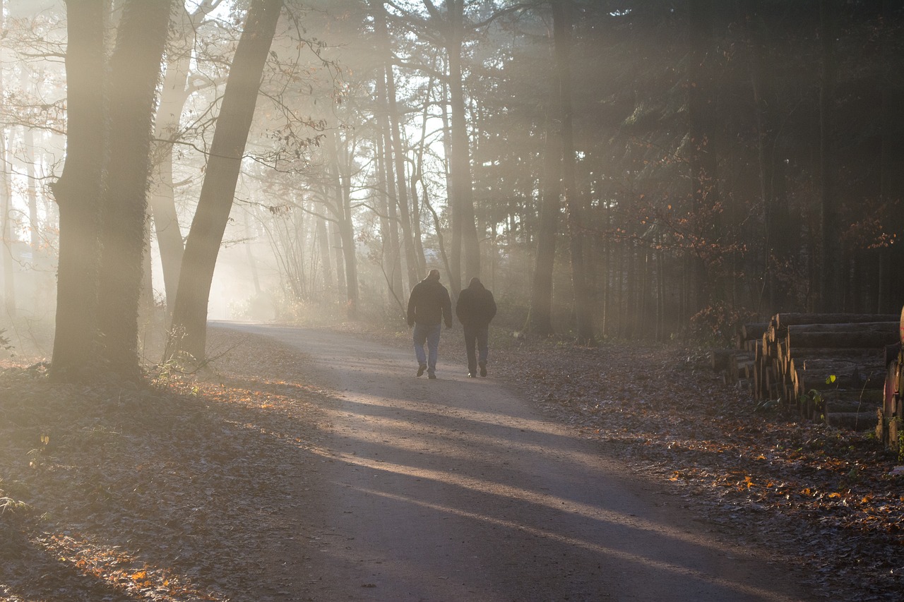 people forest outside free photo