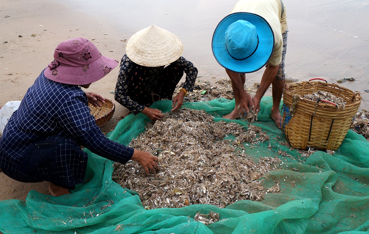 people the fishing village life free photo