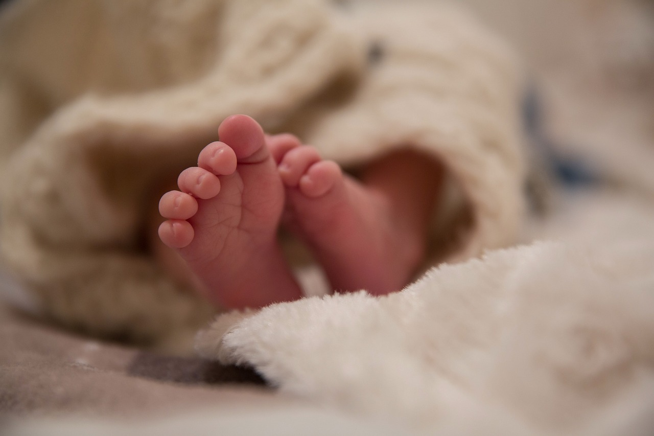 people baby newborn free photo