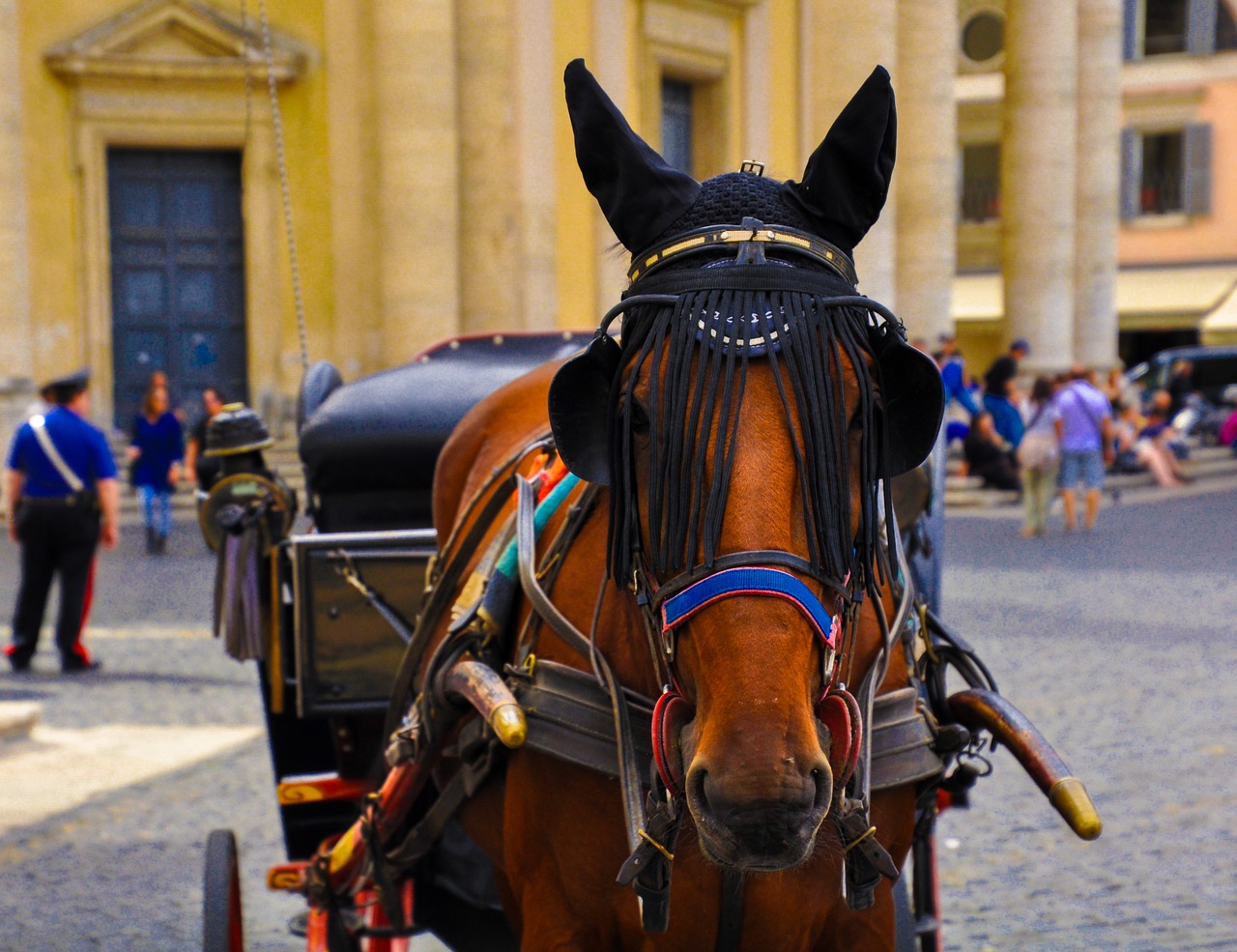 people carriage street free photo