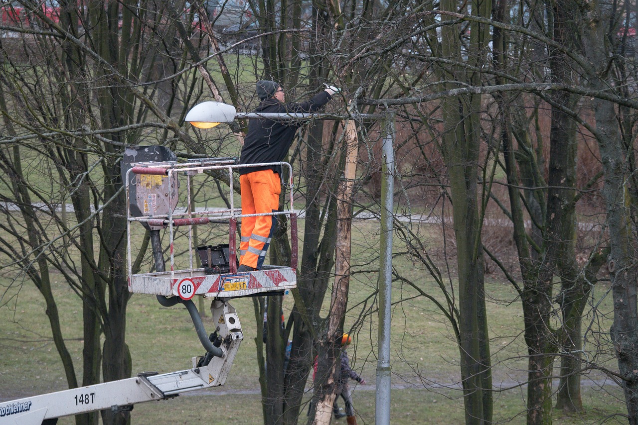 people  street  lamp free photo