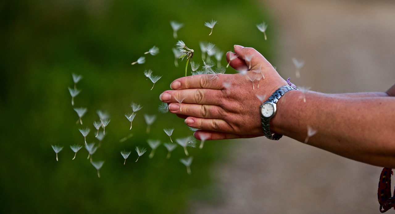 people  outdoors  nature free photo