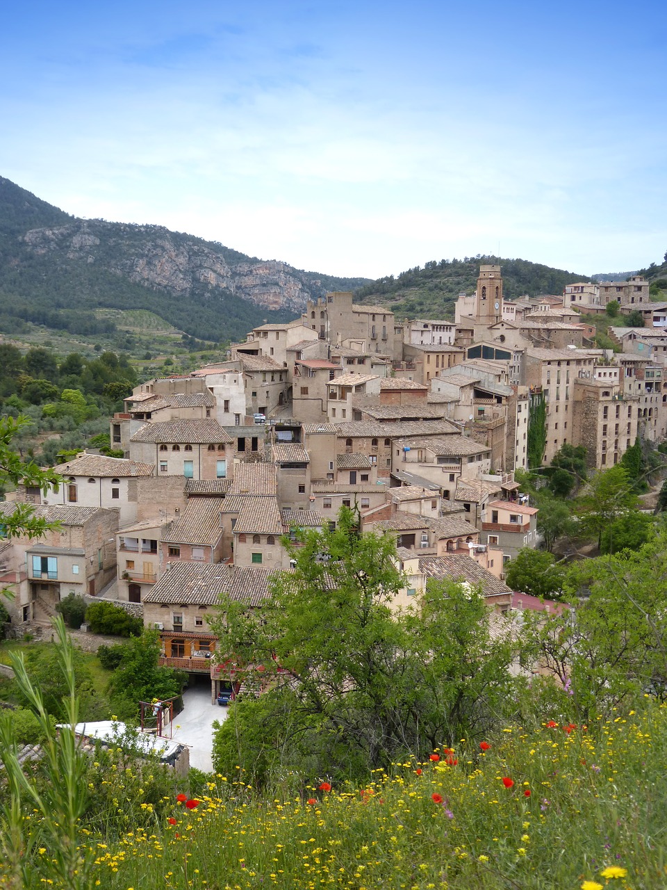 people  priorat  montsant free photo