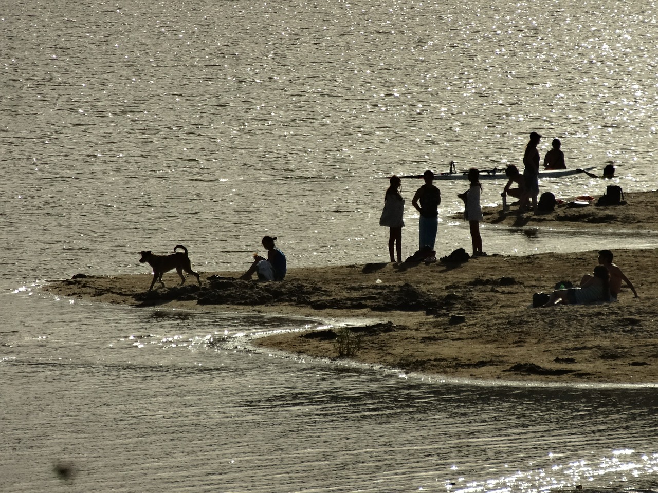 people fishing bathing free photo