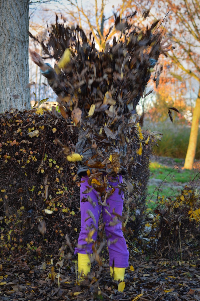 people leaves autumn free photo