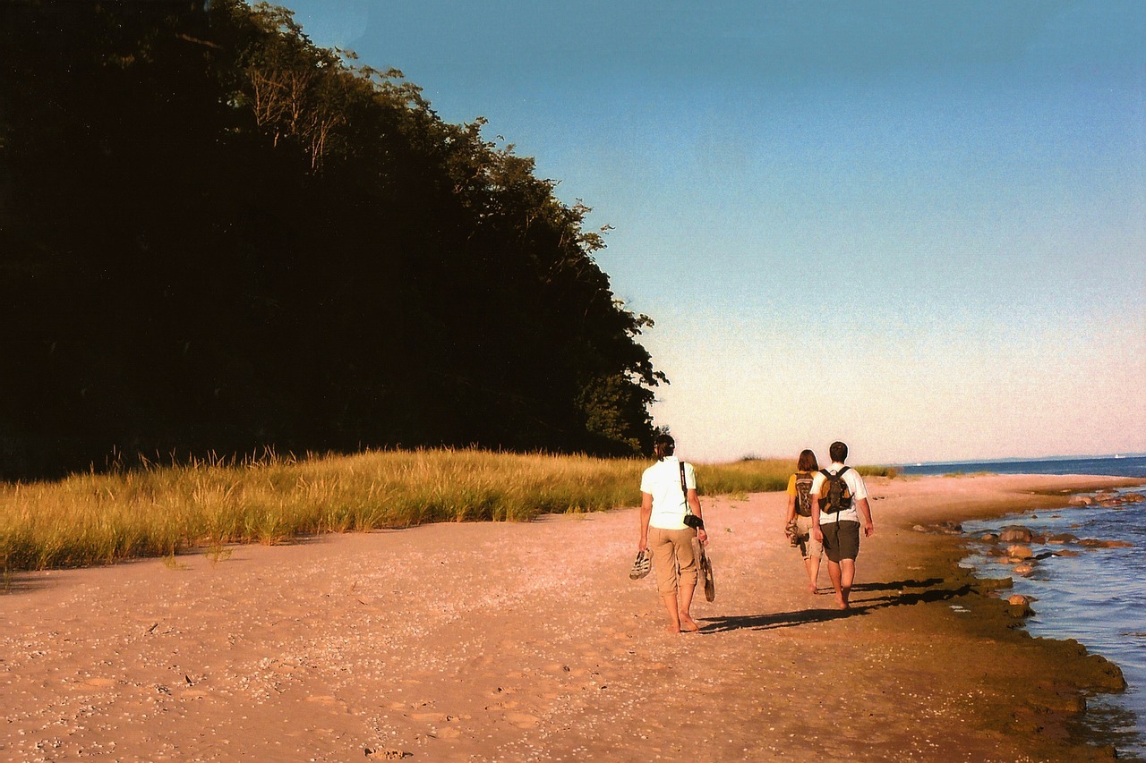 people walking beach free photo