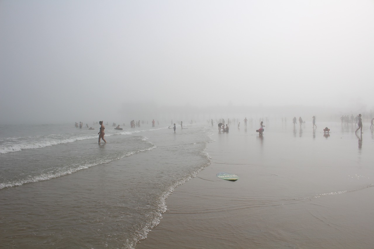 people beach foggy free photo