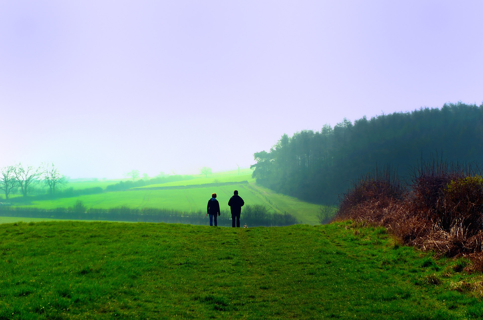 people fields landscape free photo