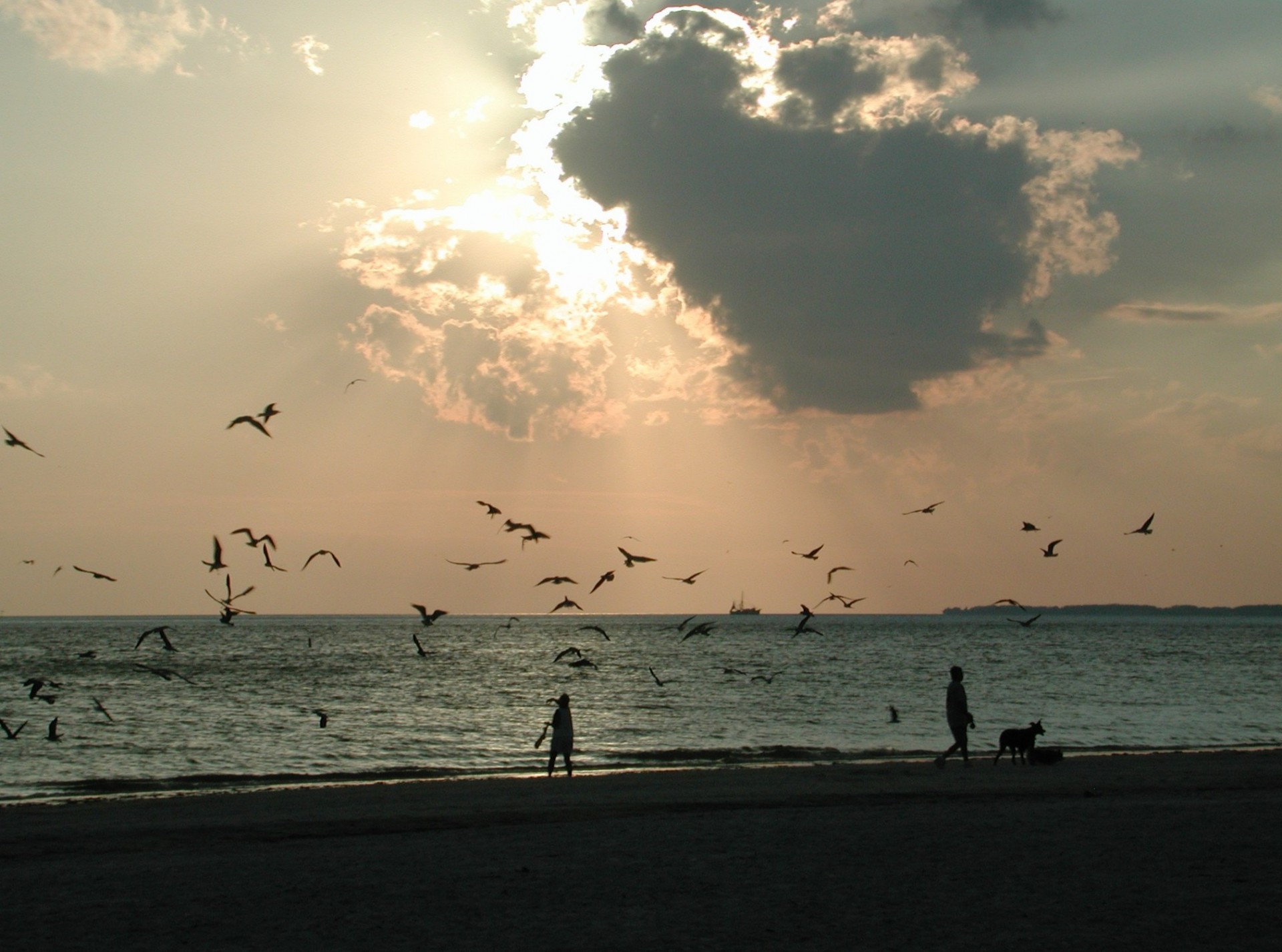 sunset fort myers florida free photo