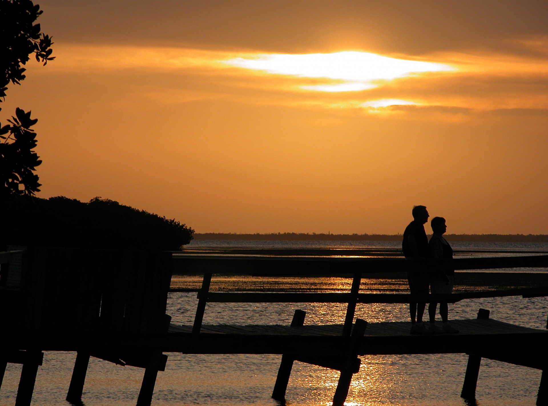 people silhouetted sunset free photo