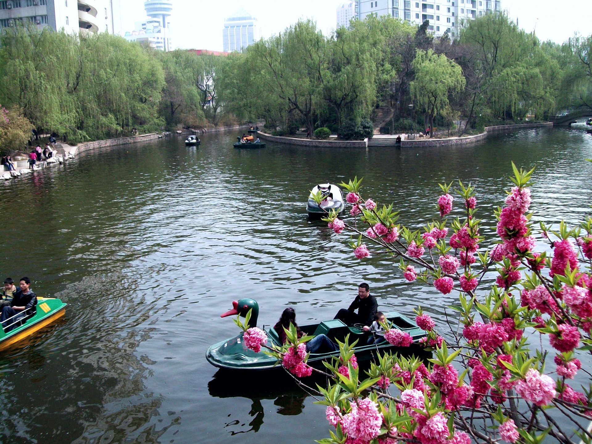 landscape park china zhengzhou free photo