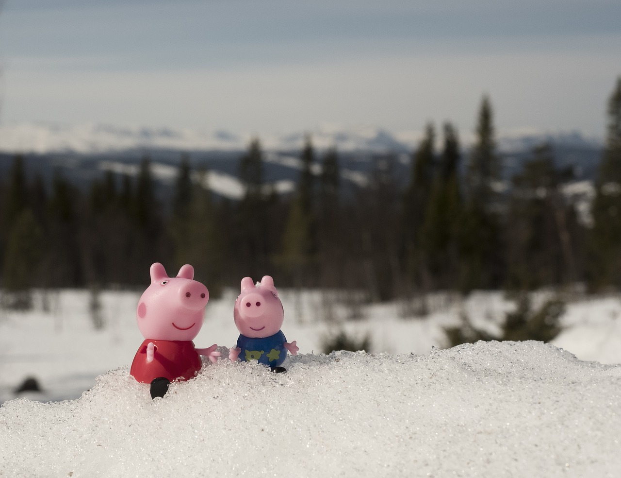 peppa pig  pig  toy free photo