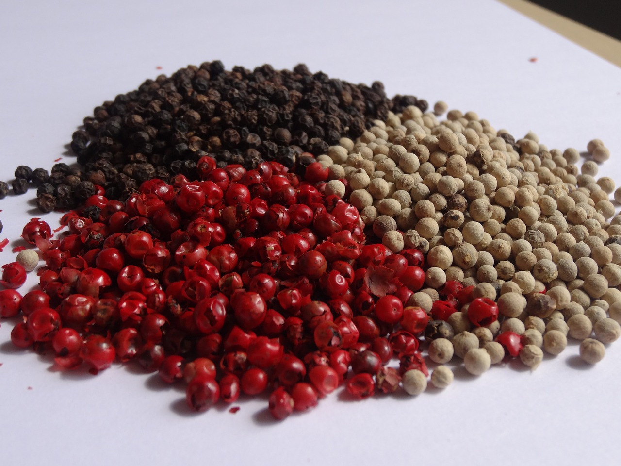 pepper spices peppercorns free photo