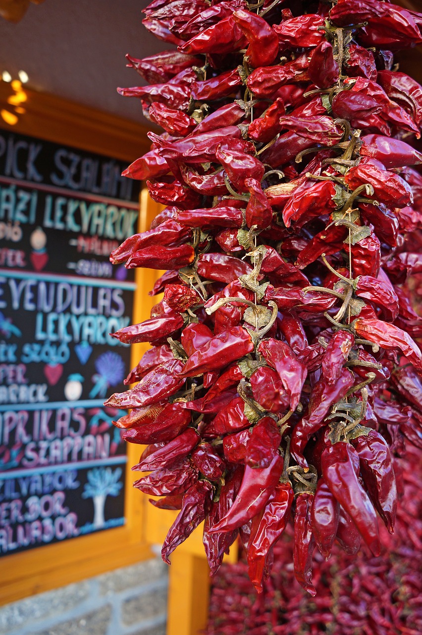 pepper red pointed red pepper free photo