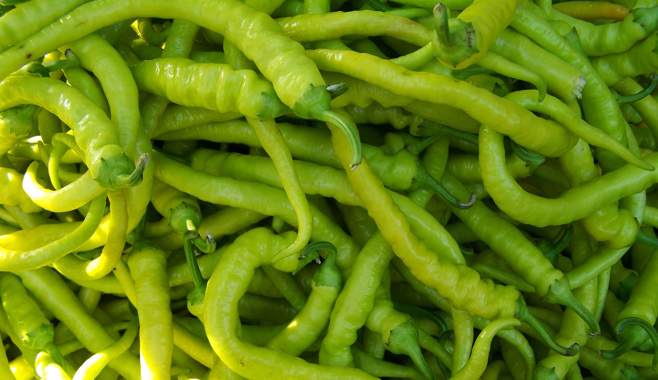 pepper green pointed vegetables free photo