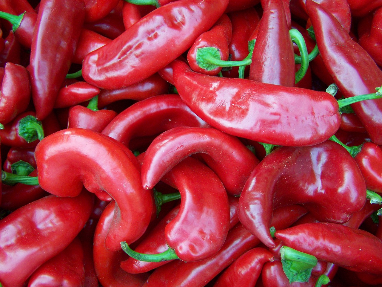 pepper red vegetables free photo