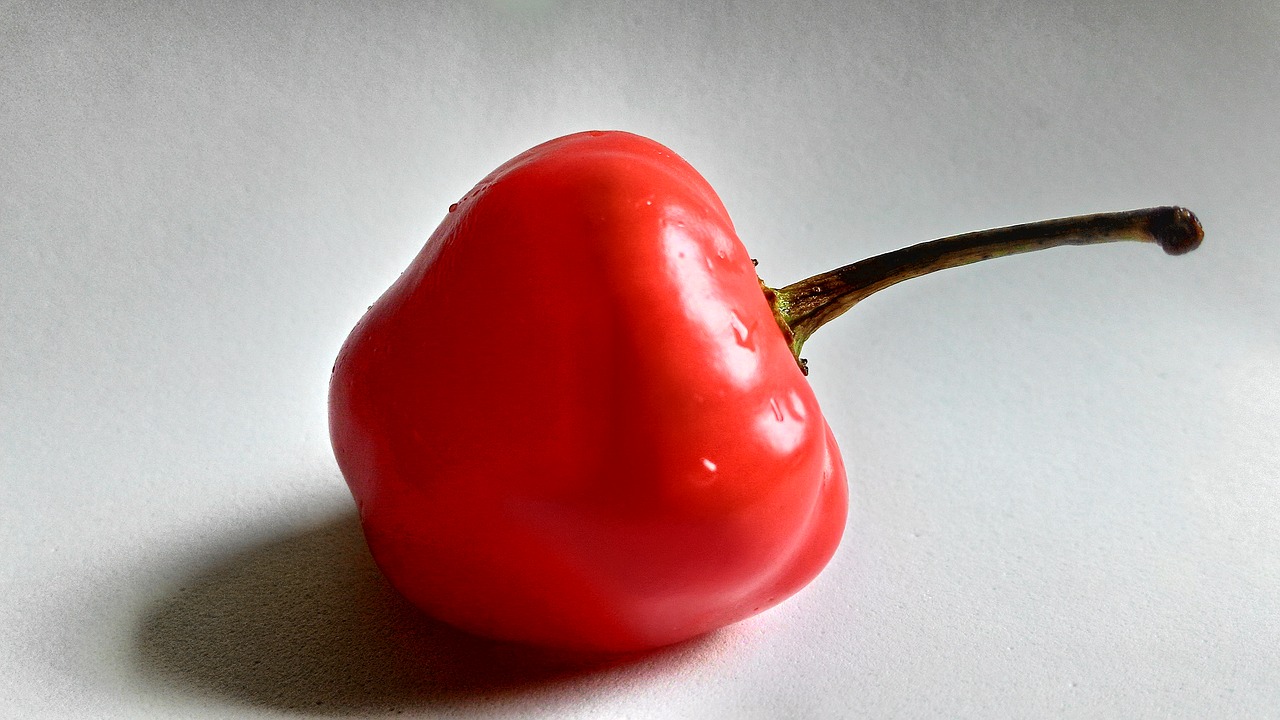 pepper red food free photo