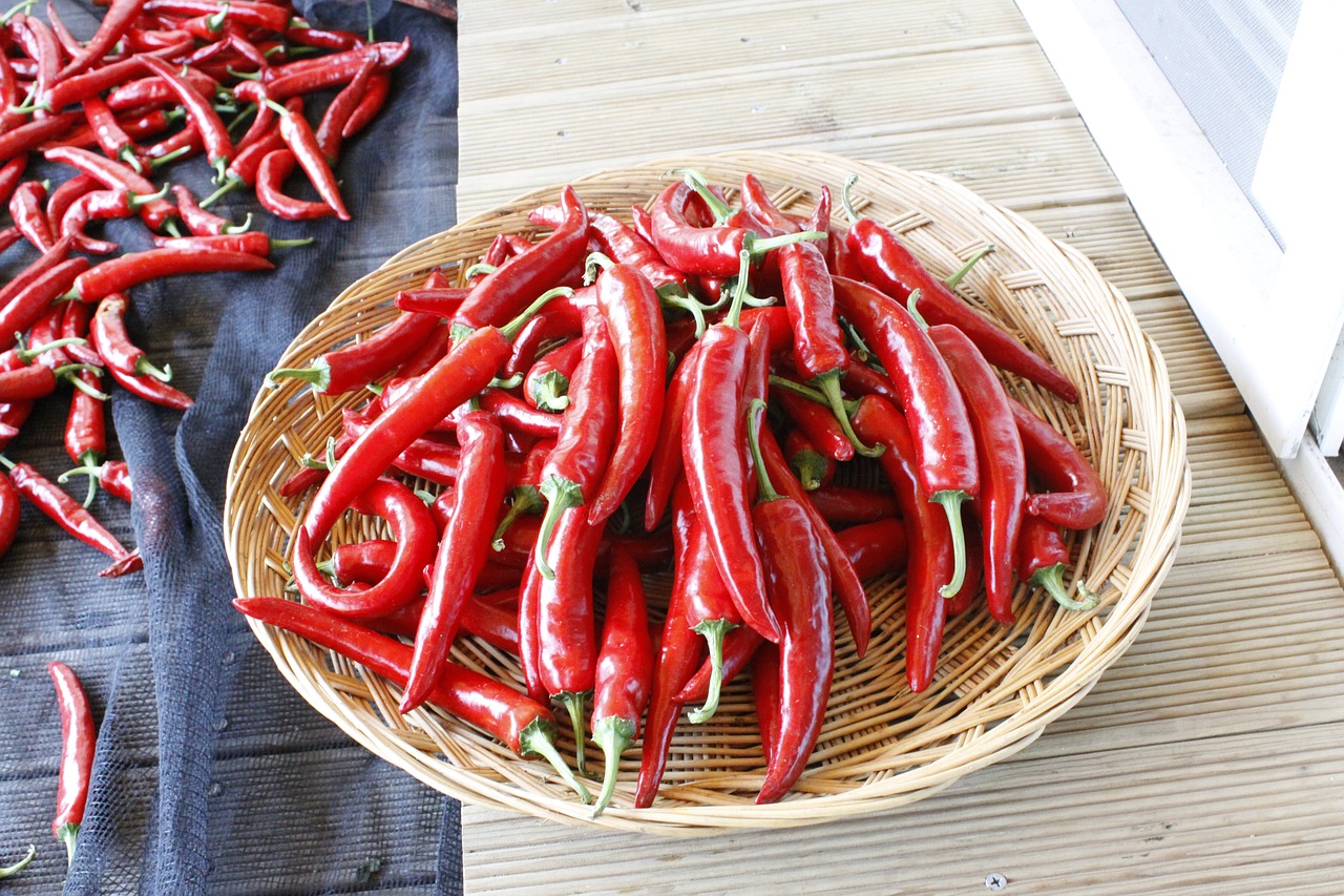 pepper vegetable basket free photo