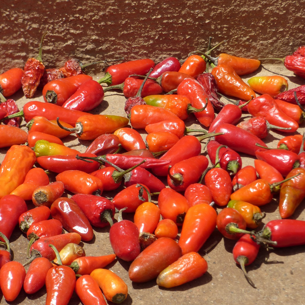 pepper food vegetable free photo