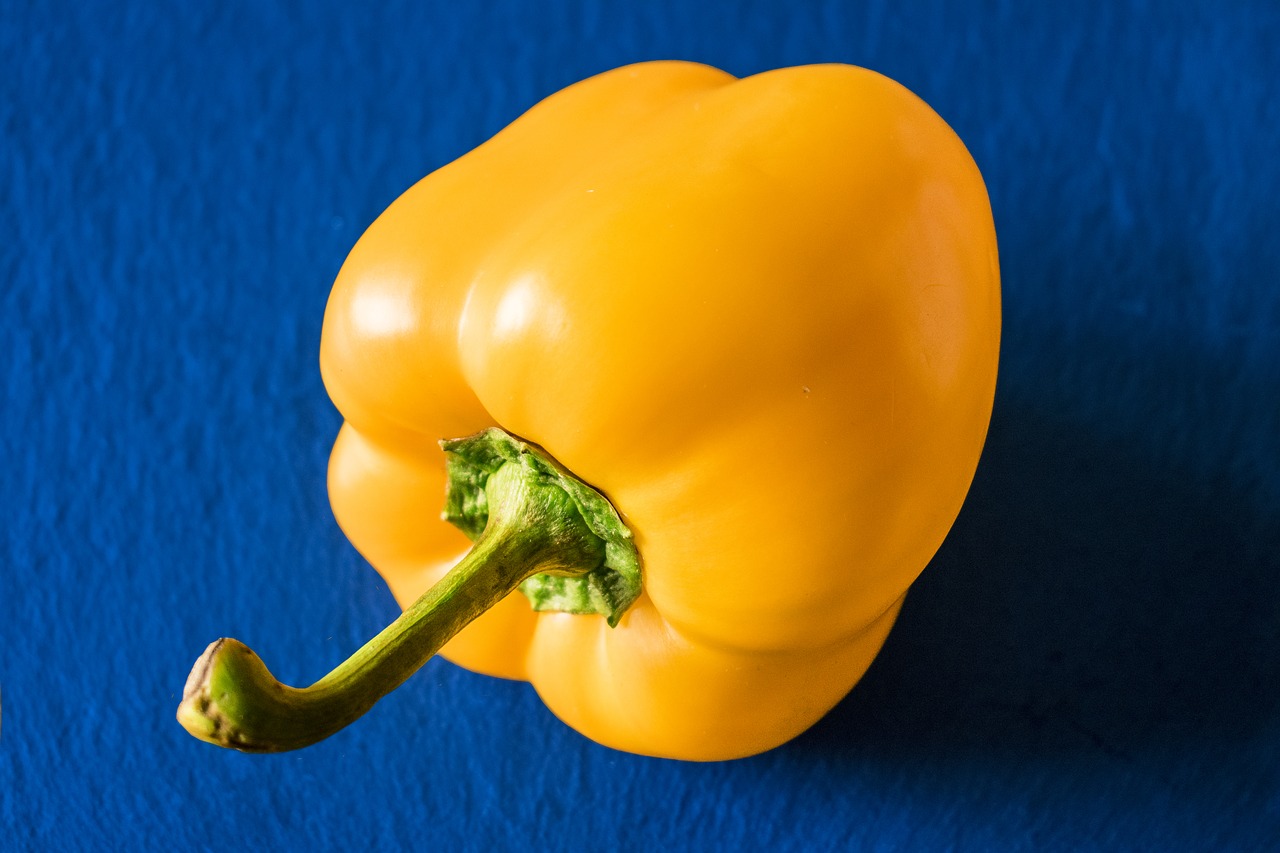 pepper vegetable yellow free photo