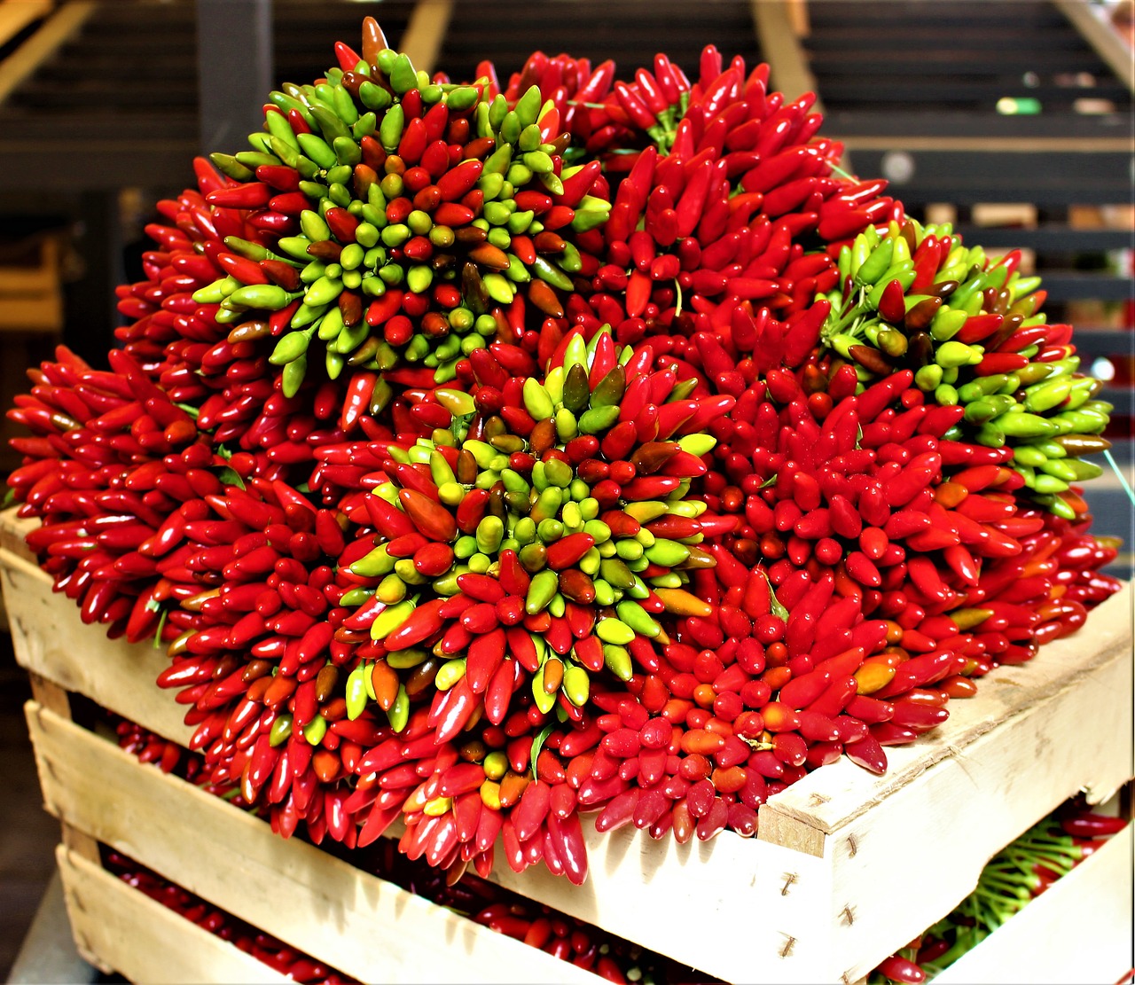 pepper spices market free photo