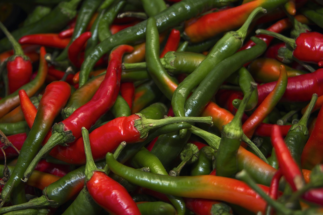 pepper  chilli  spicy free photo