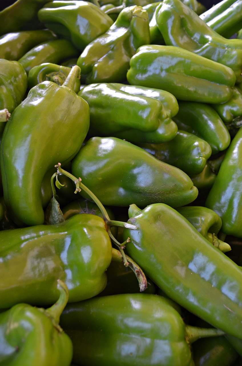 pepper  vegetables  green free photo