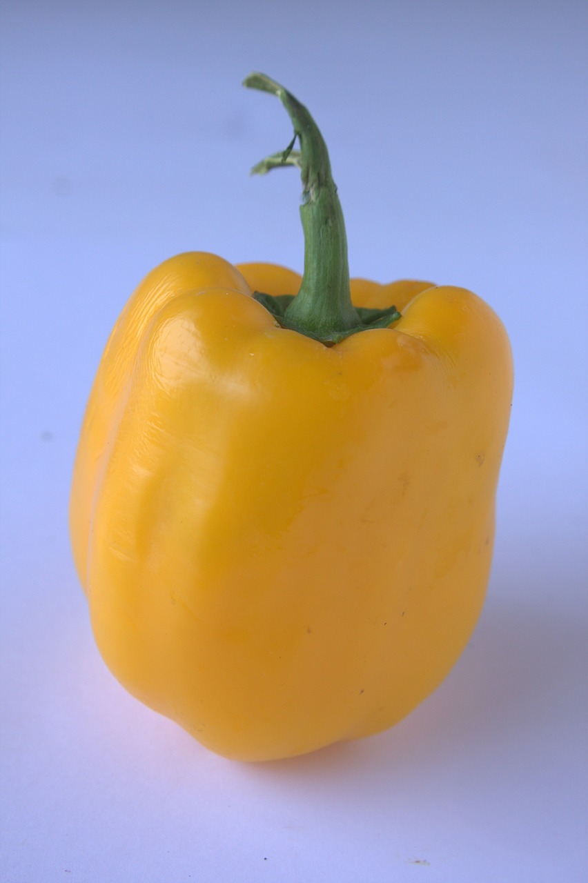 pepper yellow capsicum free photo