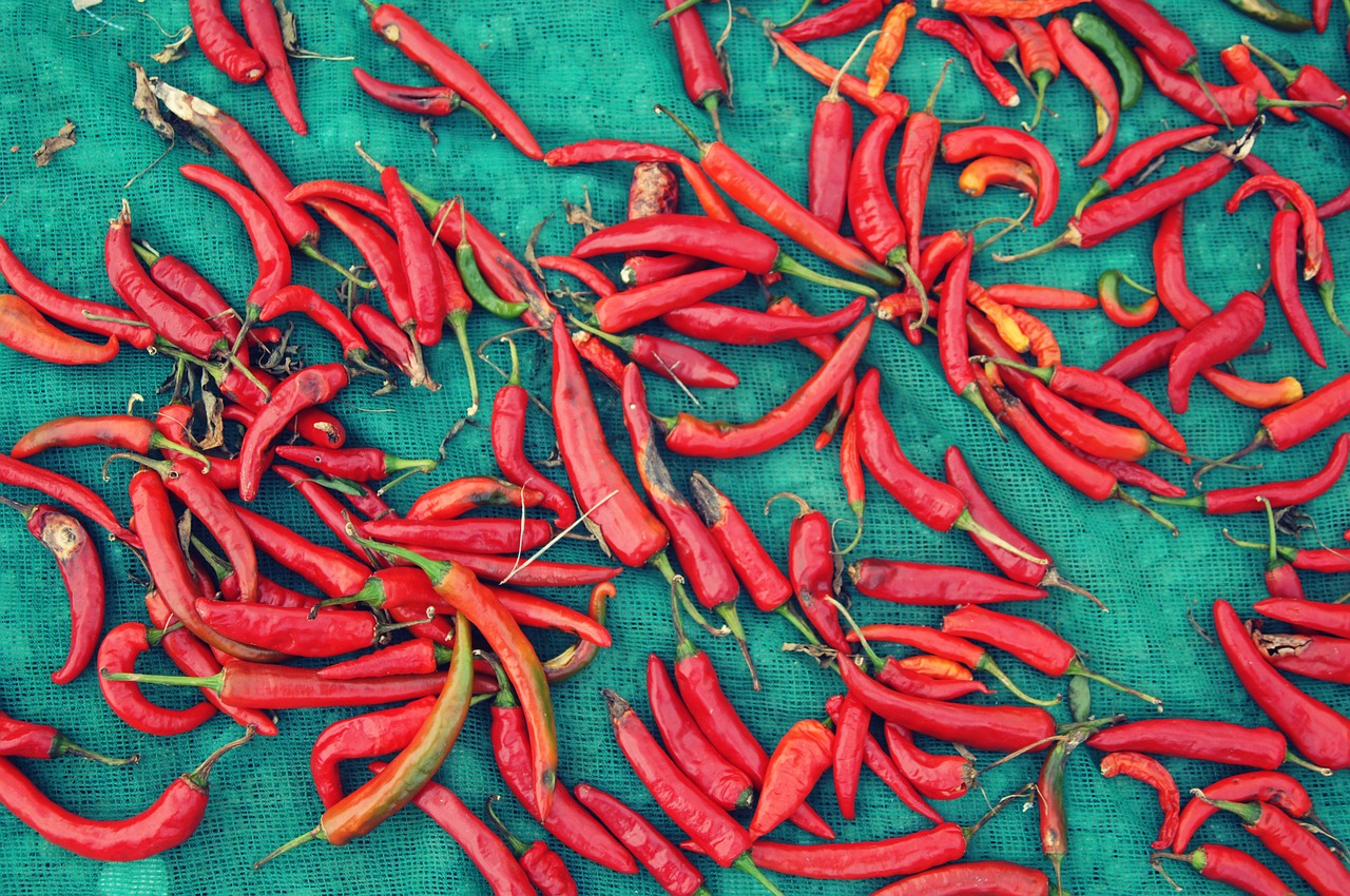 pepper vegetables nature free photo