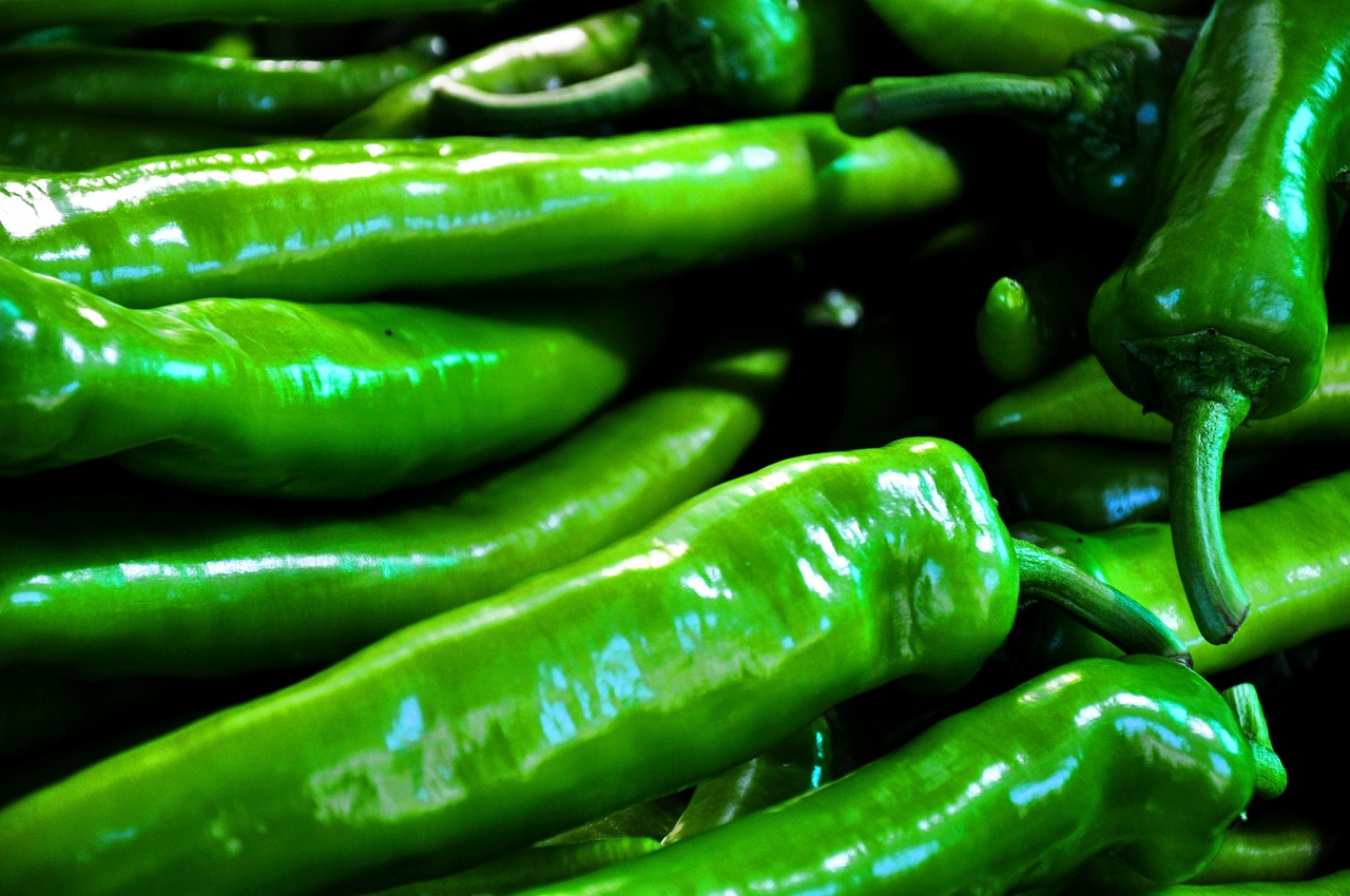 pepper green pointed pepper free photo