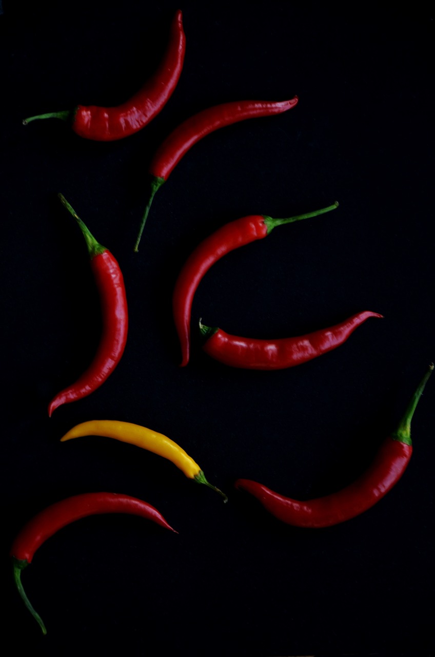 pepper hot spicy free photo