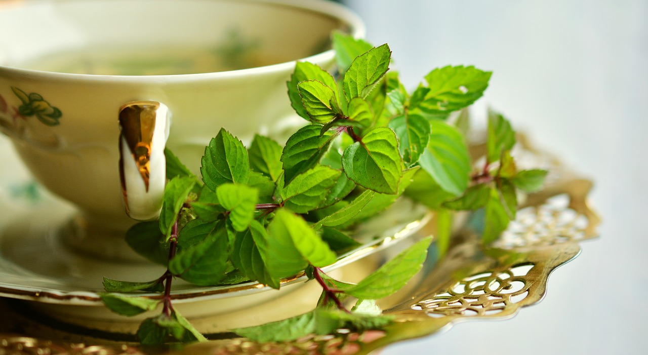 peppermint peppermint tea mint free photo