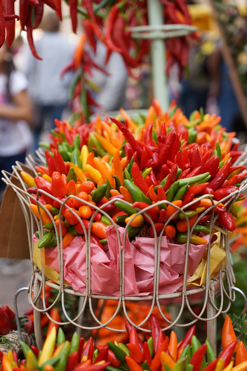 pepperoni festival colorful free photo