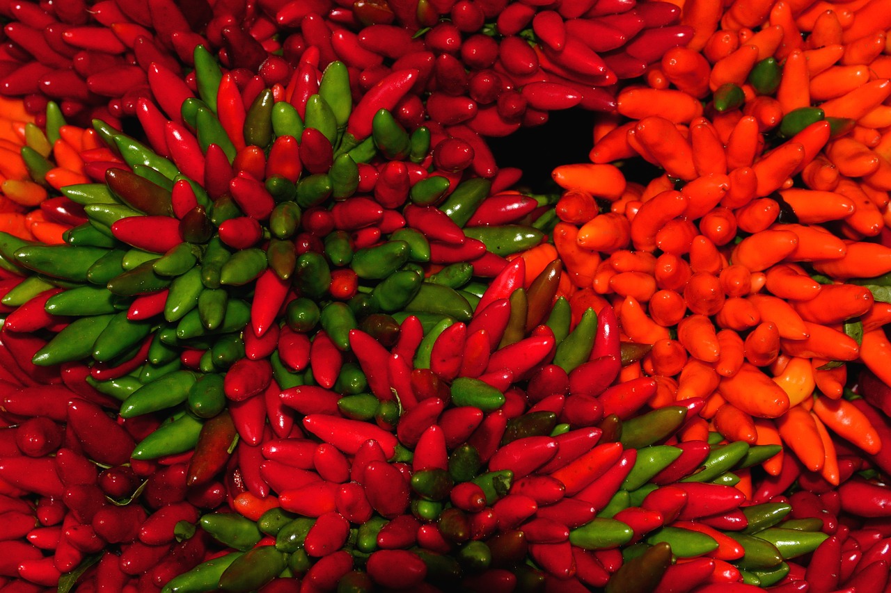 peppers red food free photo