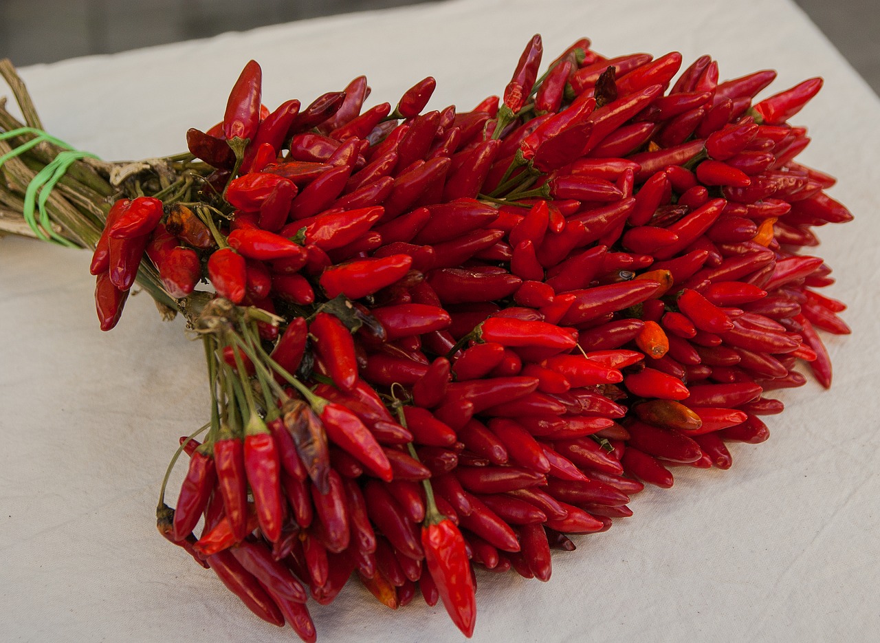 peppers spices west indies free photo