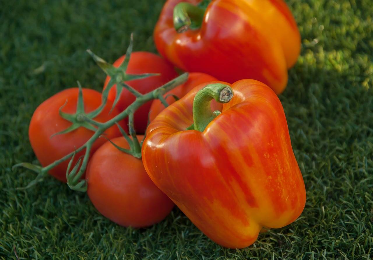 peppers tomatoes vegetables free photo