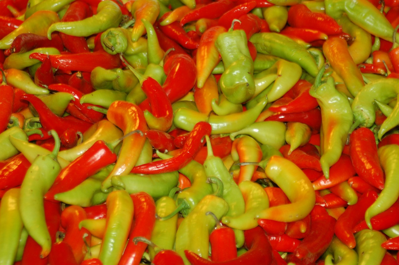 peppers aji pepper free photo
