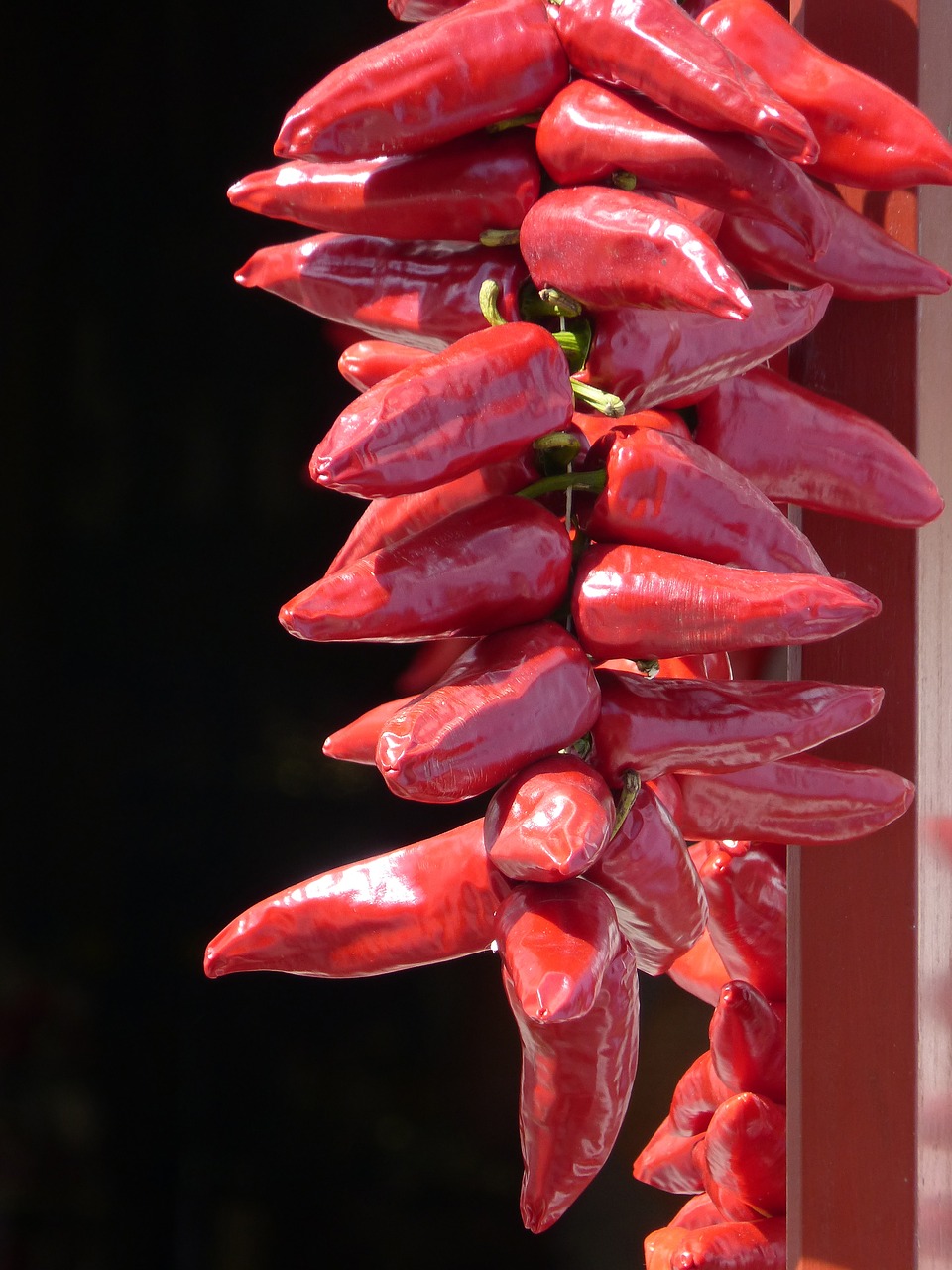 peppers  ezpeleta  euskal herria free photo