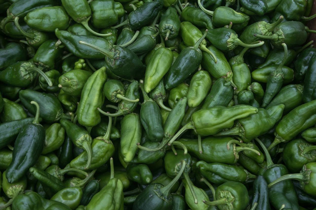 peppers  vegetable  green free photo