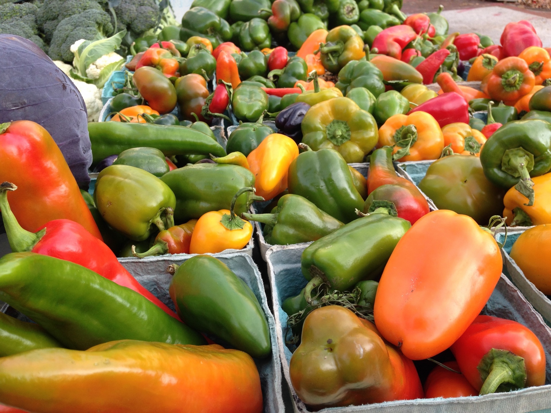 peppers bell farmers market free photo