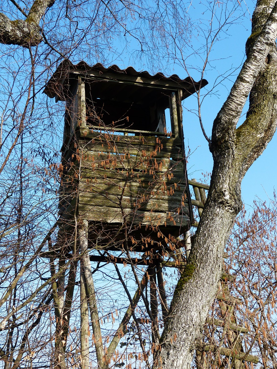 perch hunting seat hunter seat free photo