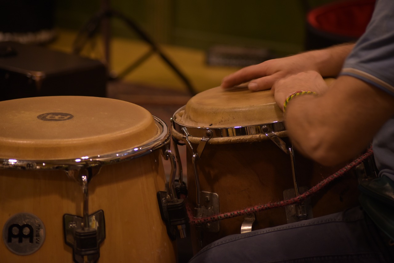 percussion  drums  pulse free photo