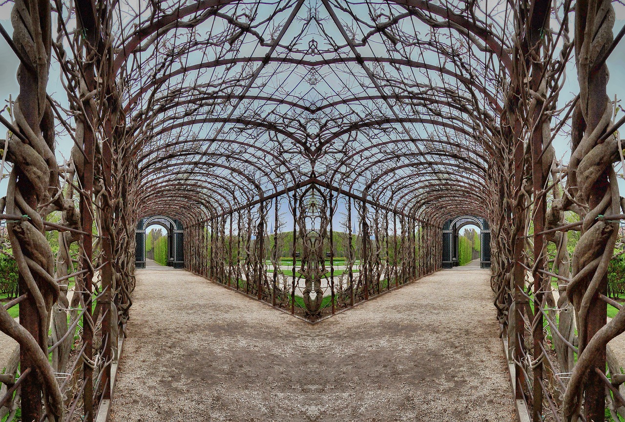 pergola roses branches free photo